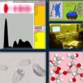 Calcolatori e Basi di Dati genomiche